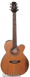 Takamine EGS430SC