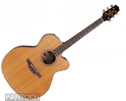 Takamine TAN20C