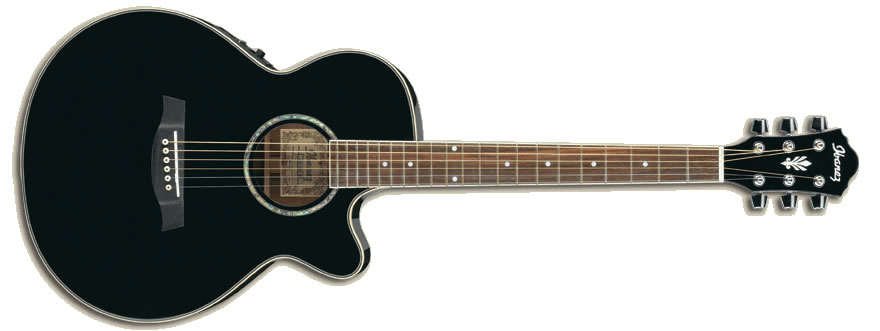 Ibanez AEG10N