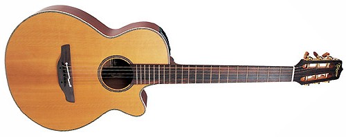 Takamine TAN30C