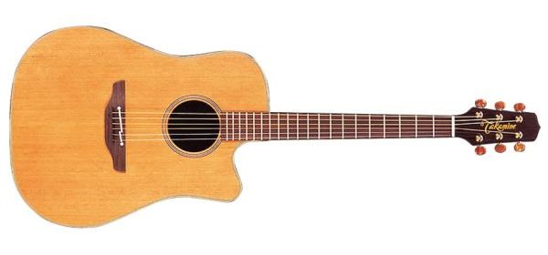 Takamine TAN10C