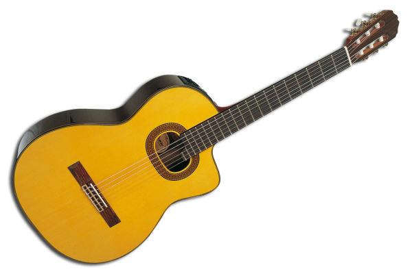 Takamine T30