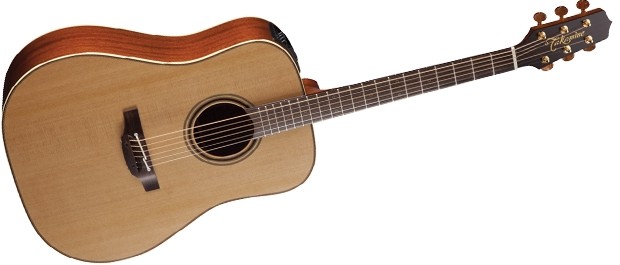 Takamine P3D