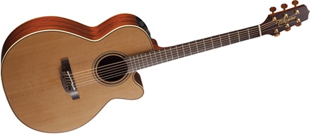 Takamine P3NC