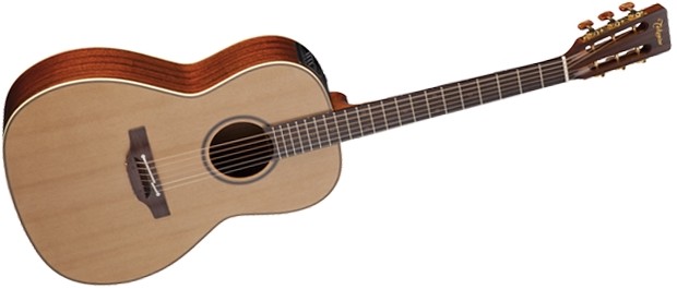 Takamine P3NY