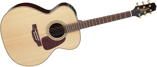 Takamine P5J