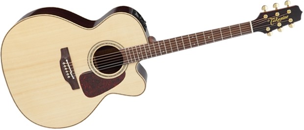 Takamine P5JC