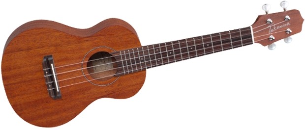 Takamine GUC1