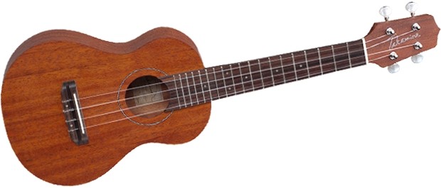 Takamine GUS1