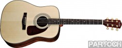 Fender DG-22S