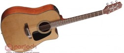 Takamine P1DC