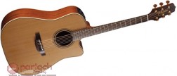 Takamine P3DC