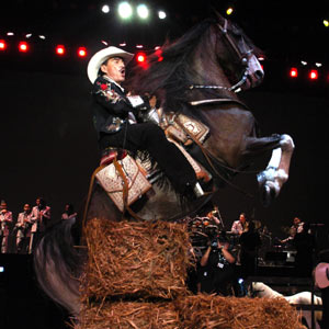 joan sebastian