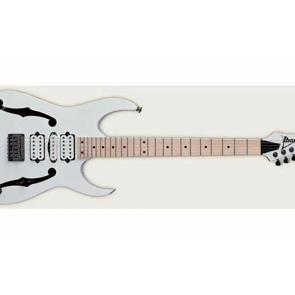 Ibanez PGM301