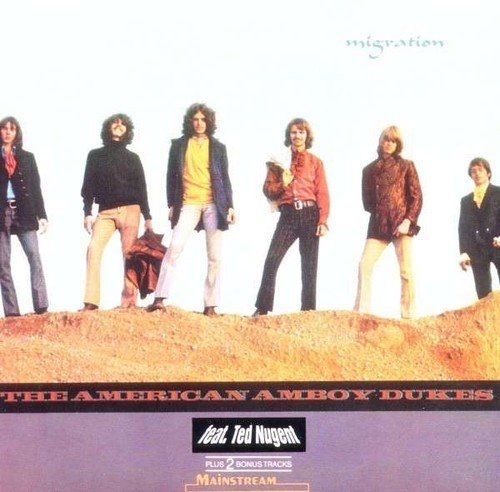 album the amboy dukes