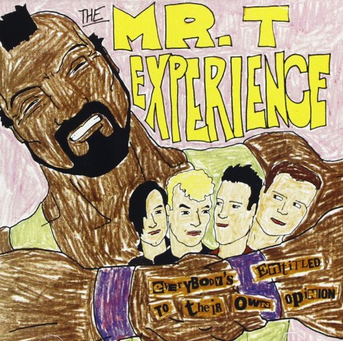 album the mr t experience