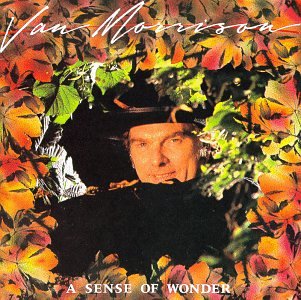 album van morrison