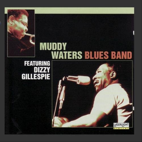 album muddy waters