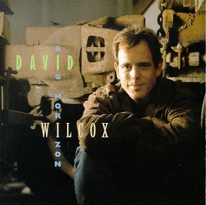 album david wilcox