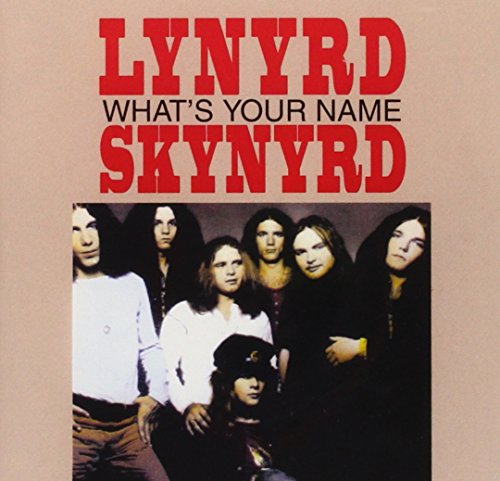 album lynyrd skynyrd