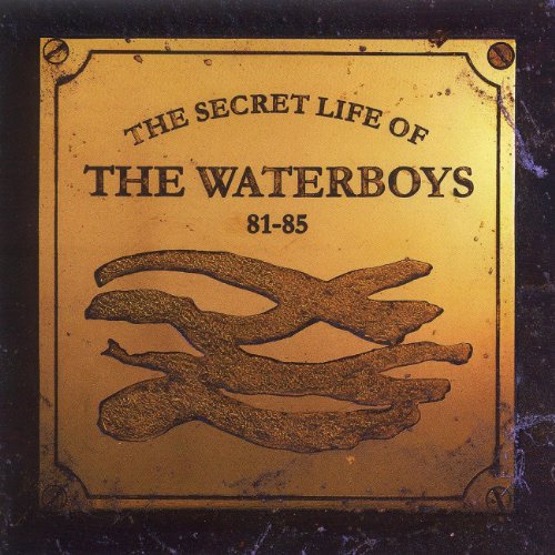 album the waterboys