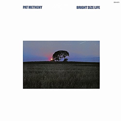 album pat metheny