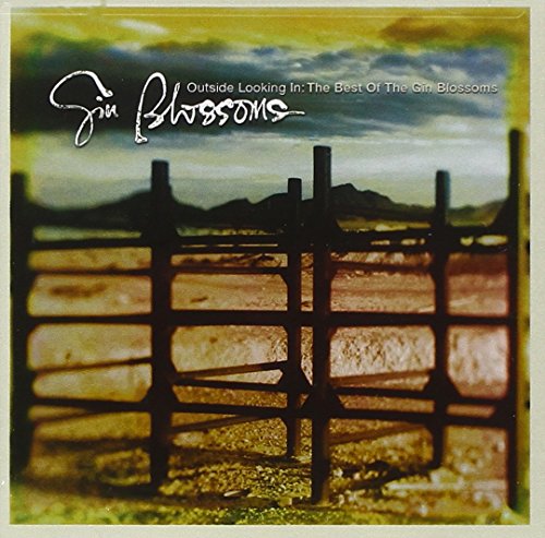 album gin blossoms