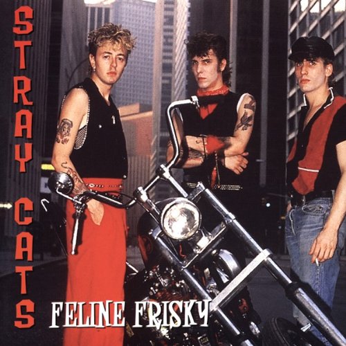 album stray cats