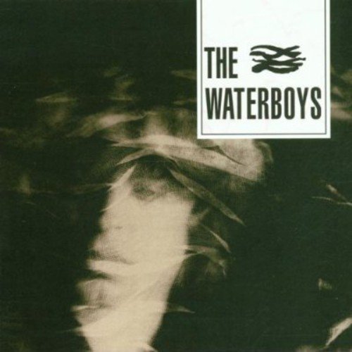 album the waterboys