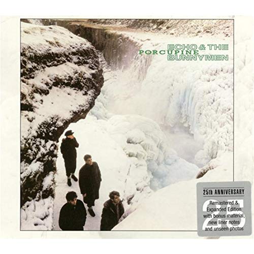 album echo and the bunnymen