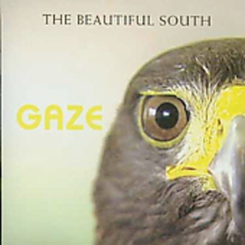 album the beautiful south