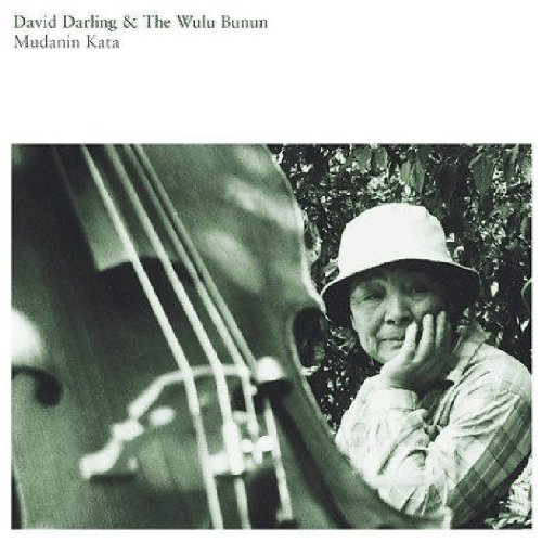 album david darling