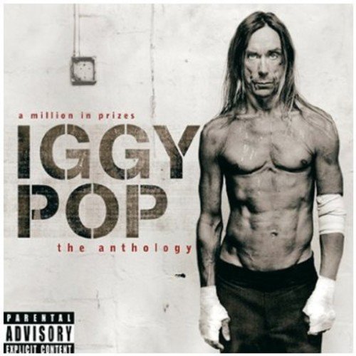 album iggy pop