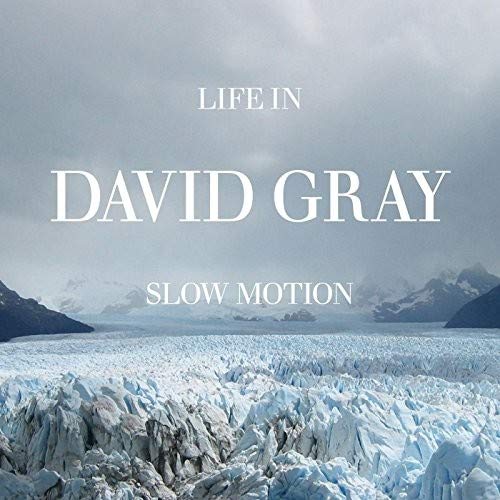 album david gray