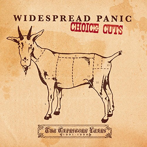 album widespread panic