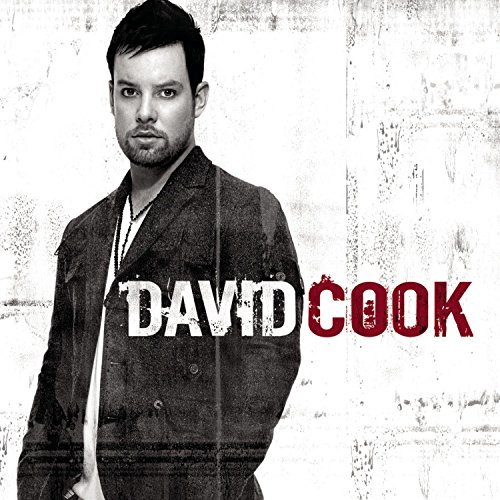 album david cook