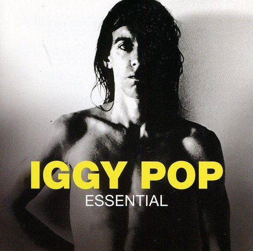 album iggy pop