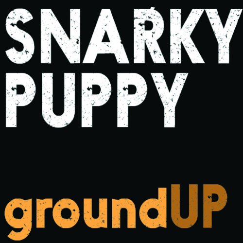 album snarky puppy