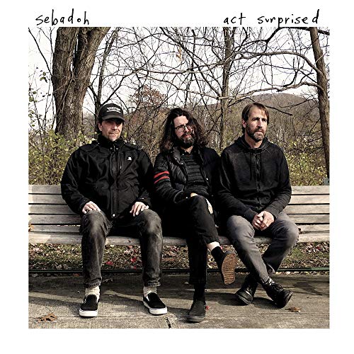 album the sebadoh