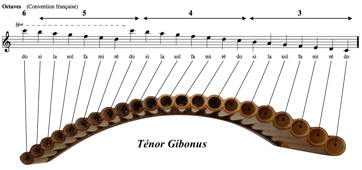 flute de pan curiosité