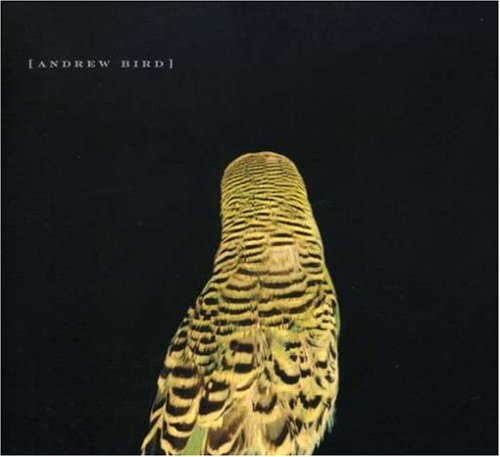 album andrew bird