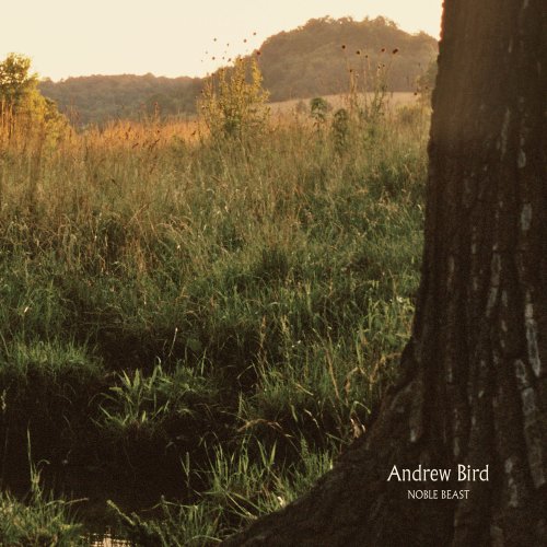 album andrew bird