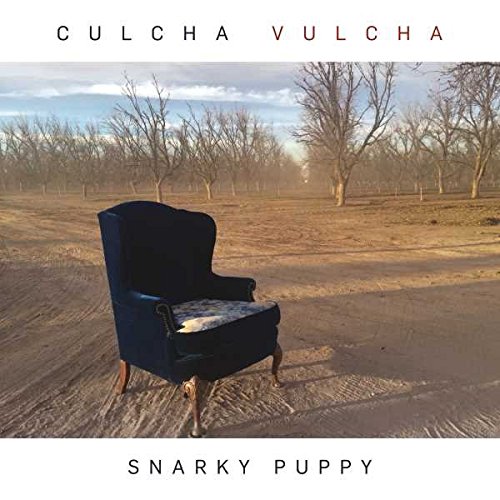 album snarky puppy