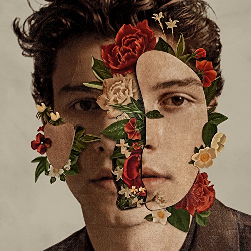 album shawn mendes