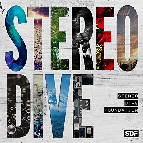 album stereo dive foundation