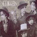 album skydiggers