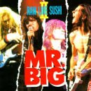 album mr big